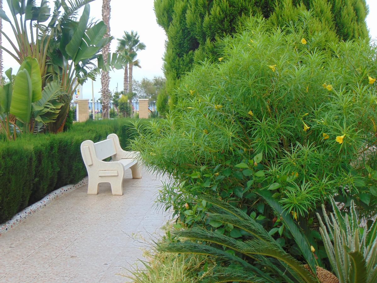 Appartement Varios Con 2 Dorm En Marina Dor , La Playa De Amplaries 47 , Vista Lateral Al Mar *