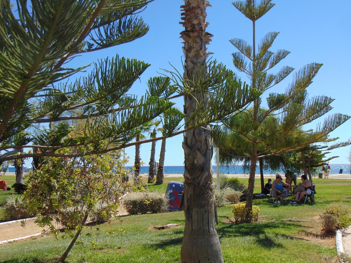 Varios Con 2 Dorm En Marina Dor , La Playa De Amplaries 47 , Vista Lateral Al Mar Apartment